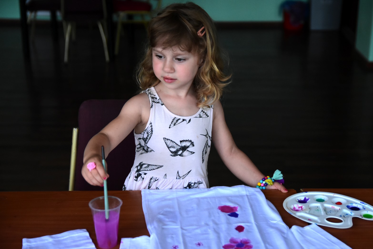 62483442_2033637356943064_8843796738633367552_o