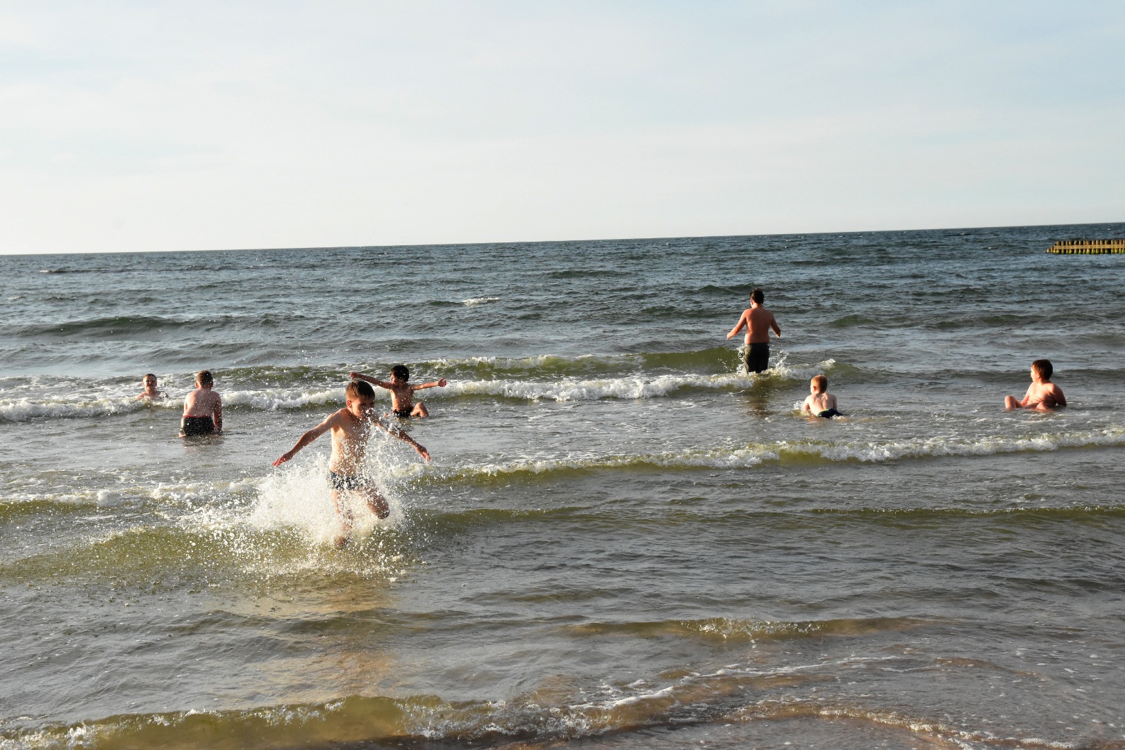 65009232_2031026517204148_2162684615297335296_o