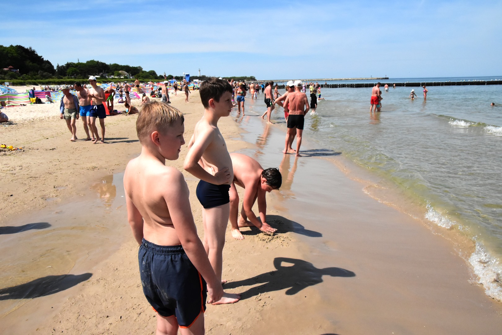 65078749_2031068793866587_4643912124416917504_o