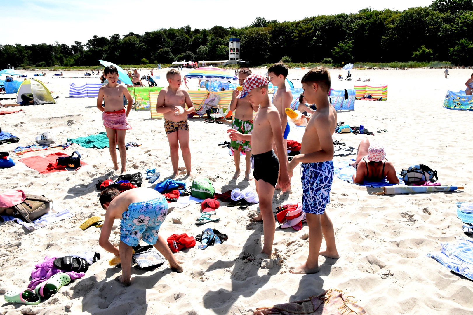 65097645_2031069263866540_3379595244214419456_o