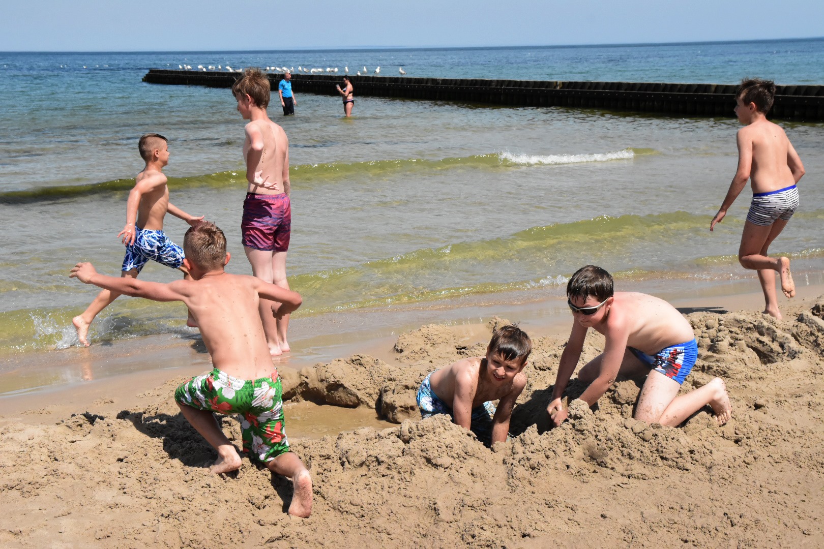 65210182_2031068157199984_8741082037403779072_o