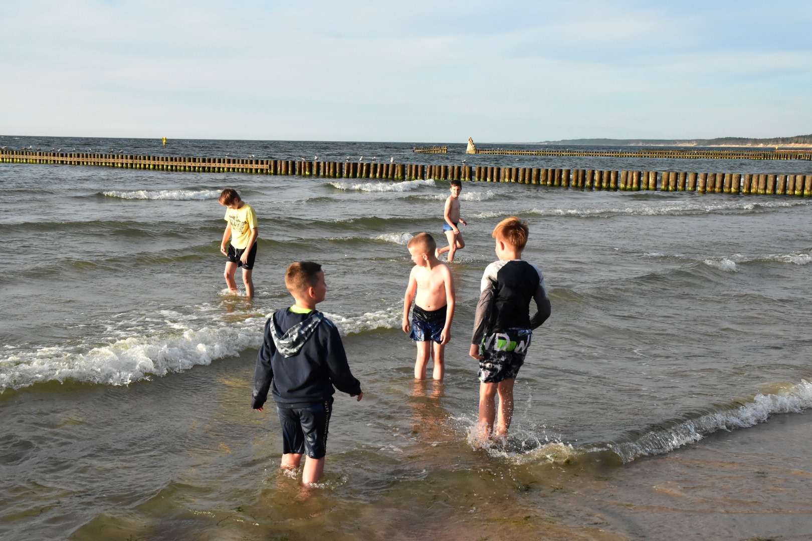 65365834_2031025930537540_7202302517760229376_o