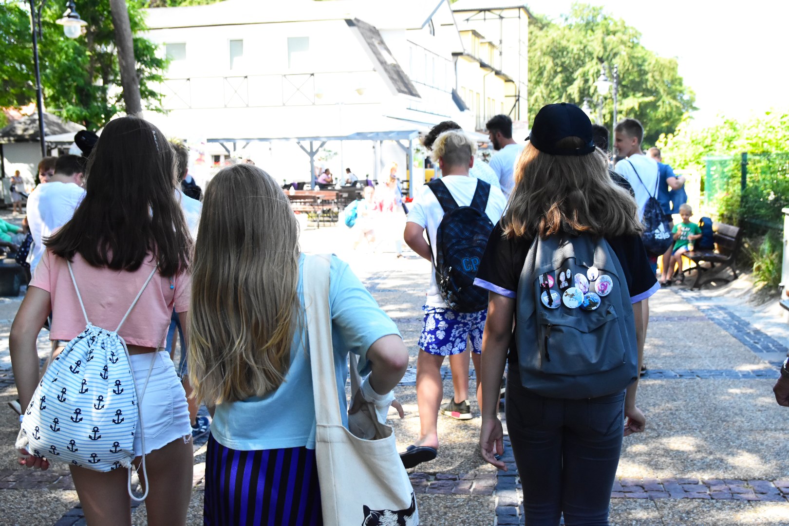 65443268_2033619823611484_6805294037478670336_o