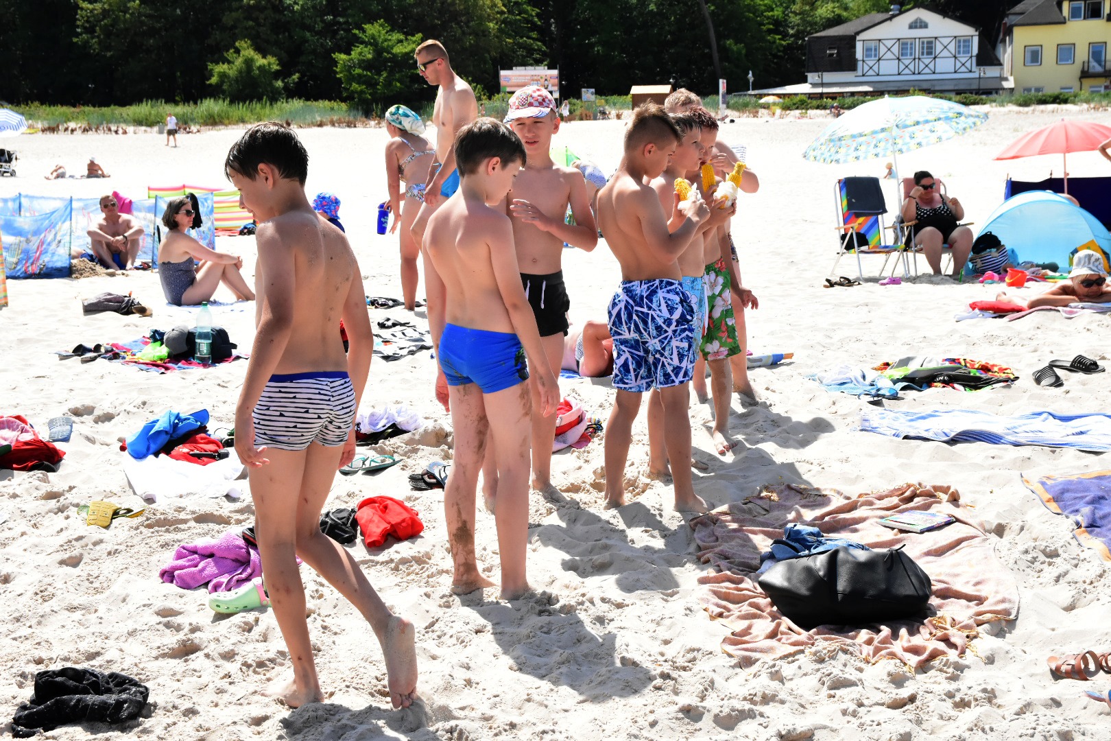 65483930_2031069290533204_460493323891638272_o