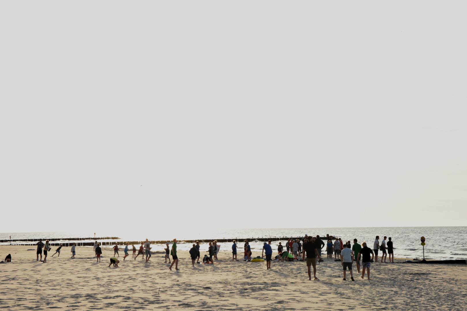 65487118_2031023397204460_2090770739455066112_o