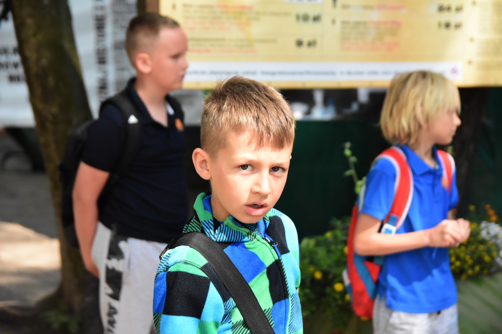 65490860_2033089250331208_5130631021129105408_o