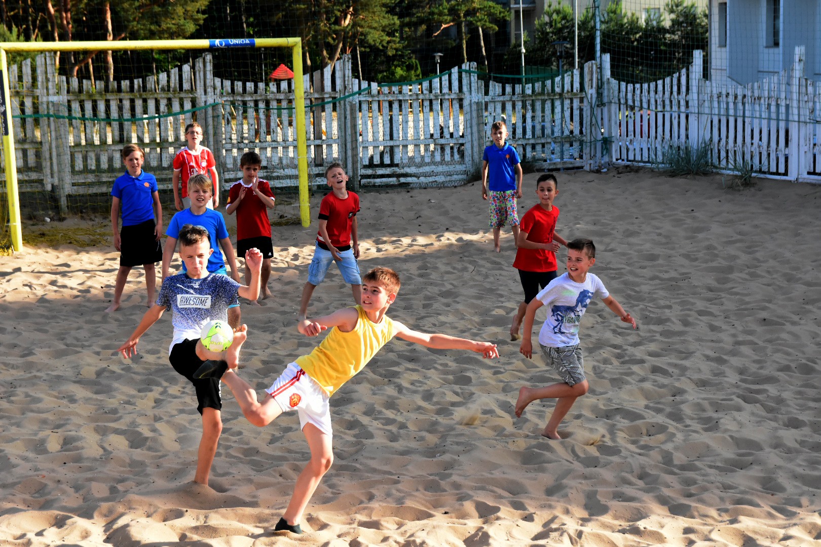 65558209_2031027280537405_7598353362068701184_o