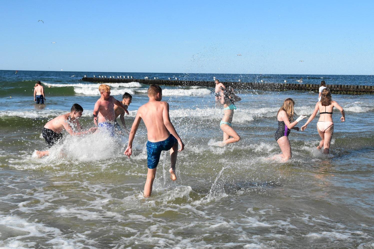 65845621_2033128376993962_6609782113937915904_o