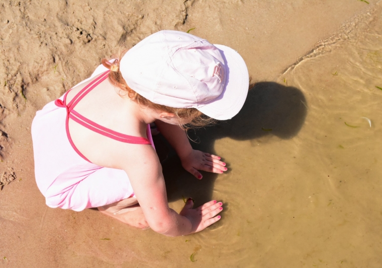 65151543_2031068507199949_1195301875356794880_o