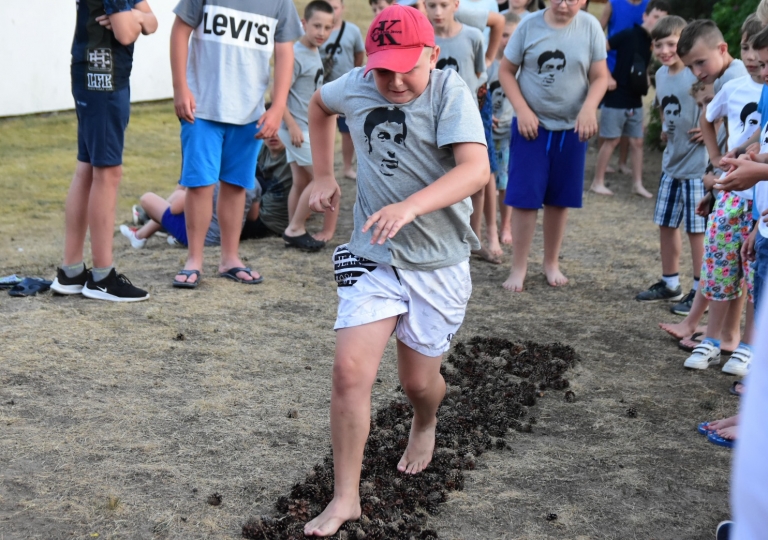 65933947_2035253670114766_1090301104769466368_o